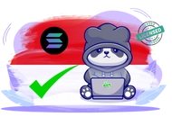Ein Panda mit Kapuzenpulli, auf dem das Solana-Logo, die indonesische Flagge und ein Laptop zu sehen sind.