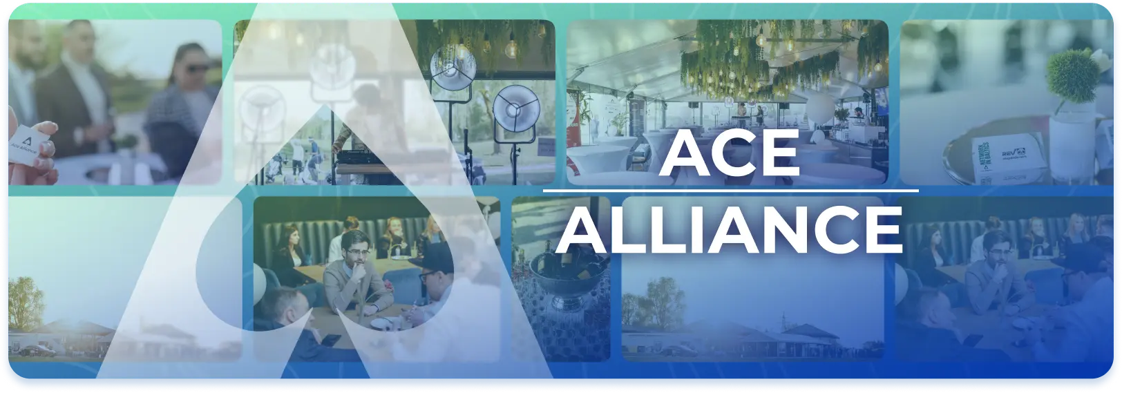 ace alliance