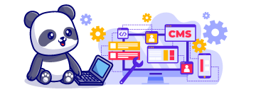 Web Design Services_Coloured box-10