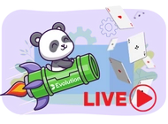 Panda flies on a rocket