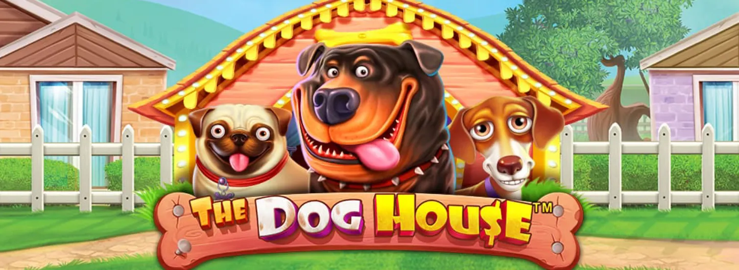 The dog house