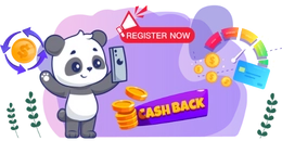 Panda with "cashback" text and gold coins.