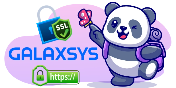 A cartoon panda wearing a backpack and holding a butterfly stands beside a padlock with "SSL" and "https://" symbols, and the word "GALAXSYS" in blue letters.