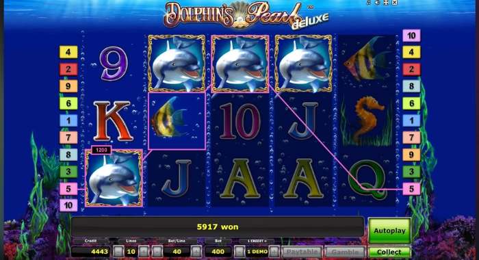 Dolphin Pearl Deluxe gameplay 3
